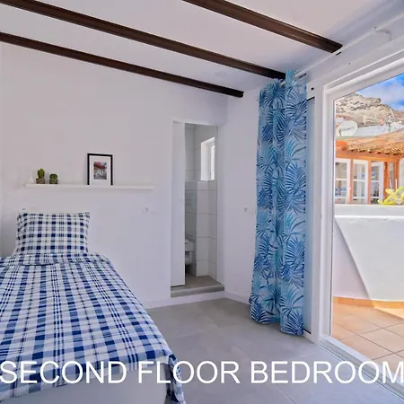The Palm House Apartment